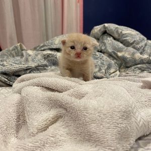 Meet your Posher, Anna